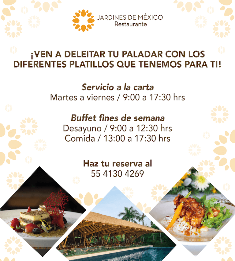 Restaurante JDM