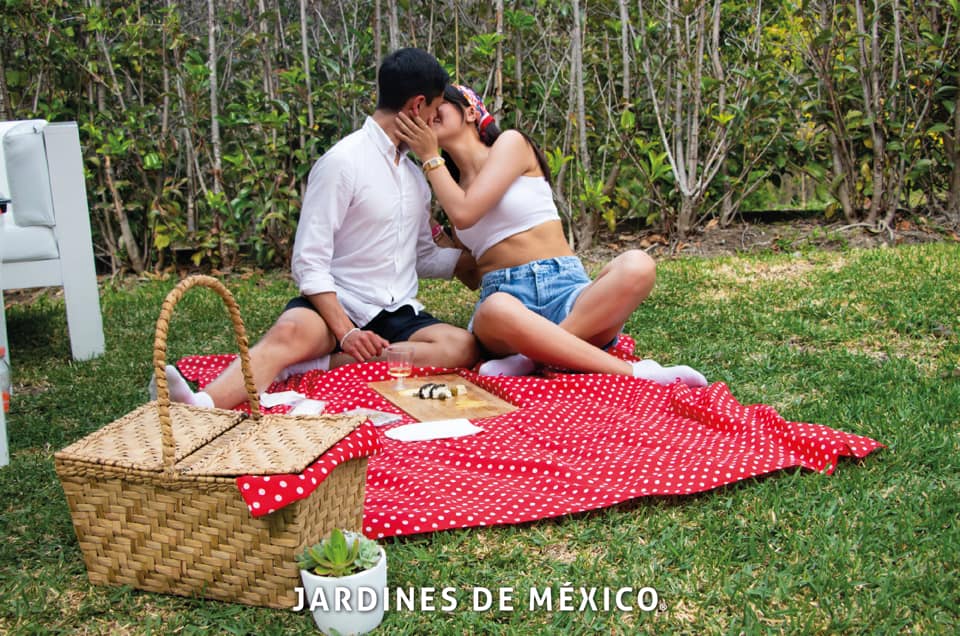 picnic jardines de mexico