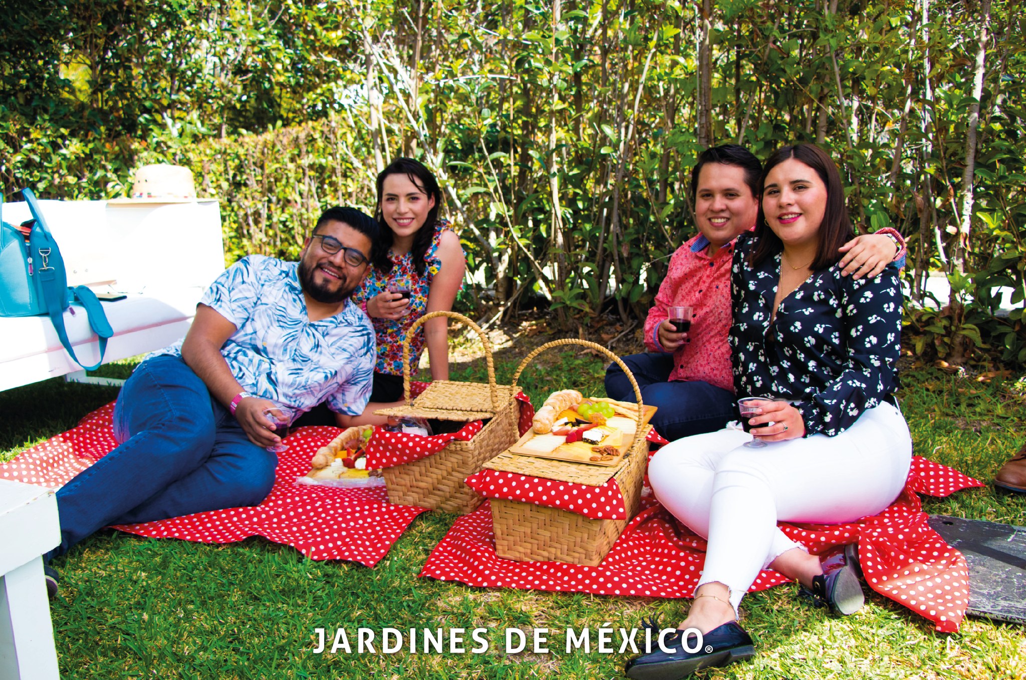 picnic jardines de mexico